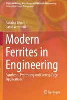 Modern Ferrites in Engineering: Synthesis, Processing and Cutting-Edge Applications 303078990X Book Cover