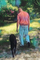 A Bunch of Ellipses ... 1628062592 Book Cover