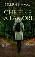 Che fine fa l'amore 8894591913 Book Cover