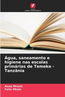 Água, saneamento e higiene nas escolas primárias de Temeke - Tanzânia (Portuguese Edition) 6208588529 Book Cover