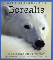 Borealis: A Polar Bear Cub's First Year (Wild Beginnings Series) 1552854655 Book Cover
