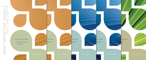 The Most Important Thing You'll Ever Study: A Survey of the Bible 1433511827 Book Cover