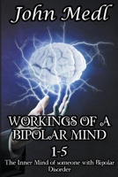 Workings of A Bipolar Mind 1-5 Omnibus: The Inner Mind of Someone With Bipolar Disorder B0BRBRJZMB Book Cover