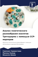 ?????? ????????????? ???????????? ???????? ?????????? ? ??????? ???-????????: ???????? ????????????? ???????????? ? ??????? ???????????? ???????? ?????????? (Russian Edition) 620759293X Book Cover