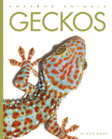 Geckos 162832483X Book Cover