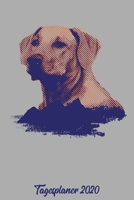 Tagesplaner 2020: Kalender DIN A5 2020 1 Tag = 1 Seite mit gro�em Tagesplaner und gro�artiger �bersicht. Monats�bersicht, Erinnerung und Notizen in diesem Kalenderbuch. Labrador Hund Golden Retriever 1677664320 Book Cover