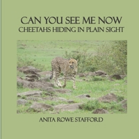 Can You See Me Now: Cheetahs Hiding in Plain Sight B09YS6NVC9 Book Cover