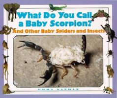 What Do You Call a Baby - Scorpion? And Other Baby Spiders and Insects 1567113613 Book Cover
