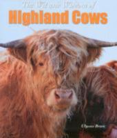 SOS Title Unknown 1842041282 Book Cover