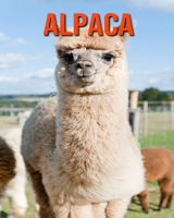 Alpaca: Fascinating Alpaca Facts for Kids with Stunning Pictures! B08KJ5563Q Book Cover