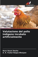 Valutazione del pollo indigeno incubato artificialmente 6205322846 Book Cover