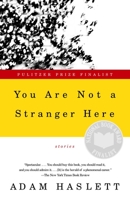 You Are Not a Stranger Here: Stories 0385509529 Book Cover