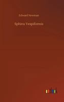 Sphinx Vespiformis 3734047498 Book Cover