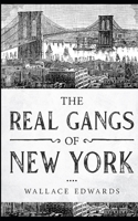 The Real Gangs of New York 149123430X Book Cover