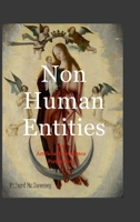 Non Human Entities: An Artificial Intelligence Perspective 1446792668 Book Cover