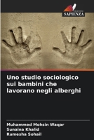 Uno studio sociologico sui bambini che lavorano negli alberghi (Italian Edition) 6207922026 Book Cover