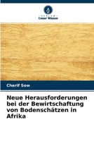 Neue Herausforderungen bei der Bewirtschaftung von Bodenschätzen in Afrika 6204163191 Book Cover