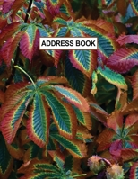 Low Vision Large Print Address and Password Record Book: Organizer for Visually Impaired 8.5" x 11" with Bold Lines 3/4" Apart Fall Colors Cover 1702189872 Book Cover