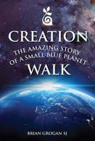 The Amazing Story of a Small Blue Planet : A Creation Walk in 30 Steps 1788121201 Book Cover