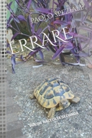 ERRARE (POESIE) (Italian Edition) B0DR6ST7ZQ Book Cover
