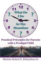 What Do I Do In The Meantime?: Practical Principles for Parents with a Prodigal Child 0578530767 Book Cover