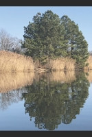 Al-Mulk: A Brief Commentary From the Classes of Sheikh Khalil Majdalawi B09SV7GN9M Book Cover