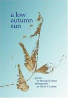 A Low Autumn Sun 1594571198 Book Cover