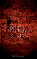 Spring - Projekt I 3347389611 Book Cover