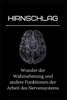 Hirnschlag: Wunder der Wahrnehmung und andere Funktionen der Arbeit des Nervensystems B0B92CFBS8 Book Cover