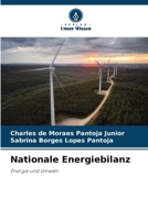 Nationale Energiebilanz: Energie und Umwelt (German Edition) 6208741211 Book Cover