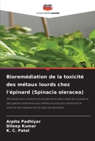 Bioremédiation de la toxicité des métaux lourds chez l'épinard (Spinacia oleracea) (French Edition) 6209884512 Book Cover