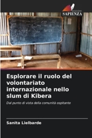 Esplorare il ruolo del volontariato internazionale nello slum di Kibera (Italian Edition) 6208274672 Book Cover