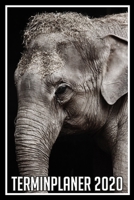 Terminplaner 2020: Jahresplaner von September 2019 bis Dezember 2020 mit Elefant - Planer mit 174 Seiten in wei� im Format A5 mit gl�nzendem Soft Cover. 1704011930 Book Cover