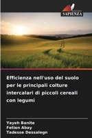 Efficienza nell'uso del suolo per le principali colture intercalari di piccoli cereali con legumi (Italian Edition) 6209397867 Book Cover