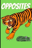 OPPOSITES B08KH2L93N Book Cover