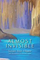 Almost Invisible: A Pixquik Adventure 1735014877 Book Cover
