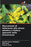 Meccanismi di tolleranza allo stress abiotico e biotico operanti nelle brassicacee 6206232042 Book Cover