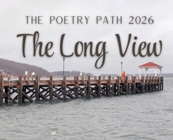 The Long View - The Poetry Path 2026 1637779097 Book Cover