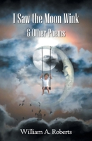 I Saw the Moon Wink & Other Poems 0722351658 Book Cover