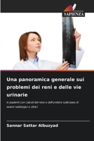Una panoramica generale sui problemi dei reni e delle vie urinarie (Italian Edition) 6202377615 Book Cover