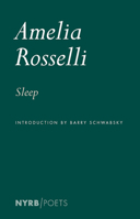 Sleep: Poesie in inglese (Poesia) 1681377837 Book Cover