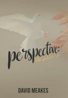 Perspective: The Golden Rule 1478772956 Book Cover