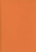 Achieving Positive Outcomes for Children in Care 1847874487 Book Cover