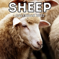 Sheep Calendar 2022: 16-Month Calendar, Cute Gift Idea For Sheep Lovers Women & Men null Book Cover