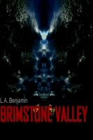Brimstone Valley: Short Story Series (13 Tales from the Awkward Mind of an Introverted Psychopath) 1512088757 Book Cover