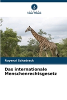 Das internationale Menschenrechtsgesetz 6207309715 Book Cover