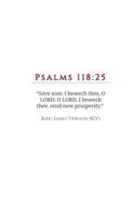 Send Now Prosperity: Psalms 118:25: The Prayer of David 036813167X Book Cover