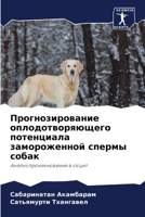 ??????????????? ???????????????? ?????????? ???????????? ?????? ?????: ?????? ????????????? ? ????? (Russian Edition) 6207593057 Book Cover