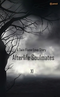 Afterlife Soulmates: A Twin Flame Love Story 9356102686 Book Cover