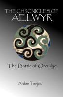 The Chronicles of Aelwyr-- The Battle of Orquilye 0615577040 Book Cover